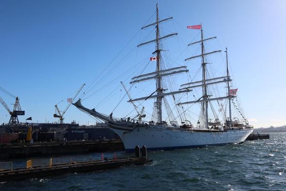 Tall ship docked at pier. Ship is white and has 3 masts, with 5 rows of yards.
