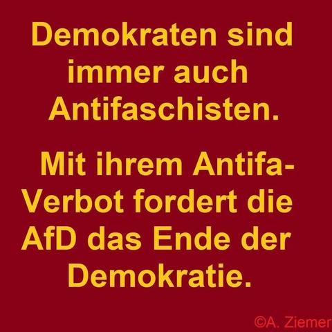 Roter Hintergrund mit gelber Schrift ,wie folgt:"Demokraten sind
immer auch Antifaschisten.
Mit ihrem Antifa- Verbot fordert die AfD das Ende der Demokratie."

OA. Ziemer