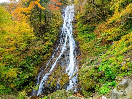 埼玉県で「秋に行きたい滝」ランキング！ 2位「丸神の滝」を抑えた1位は？【2025年調査】 - All About ニュース