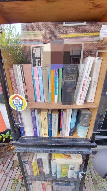 Ingezoomd op de boeken in de minibieb: van Shakespeare tot Verhoef en van Kramers woordenboek E-N tot John Grisham, De Verdediging.