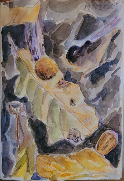 Aquarellskizze: Blick auf einen kleinen Ausschnitt Waldboden,  ein paar Eichen- und Buchenblätter, Eicheln, ein Eichenblatt mit kugeliger Galle