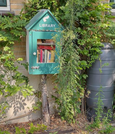 Groen geverfd minibiebje met als opschrift 'library', tegen de gevel van een huis. Eromheen en deels ervoor groeit van alles.