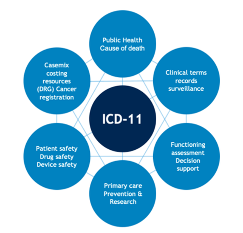 A diagram depicting the uses / benefits of ICD-11 coding system. There is a circle in the center with the ICD-11 name. Six other circles around it with lines interconnecting them. The names of each satellite circle in a clockwise sequence:
- Public Health / Cause of death
- Clinical terms records surveillance
- Functioning assessment // decision support
- Primary care // Precention & Research
- Patient safety // Drug Safety // Device safety
- Casemix costing resources (DRG) Cancer registration