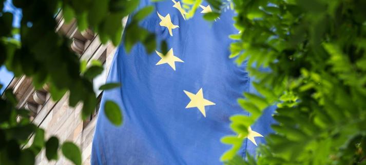 Los ecologistas denuncian los planes europeos en materia de biodiversidad / Teka77