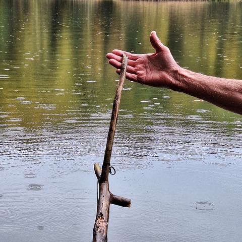 Im Vordergrund wird ein Zweig von einer geöffneten Handfläche gehalten. Bis zum rechten Bildrand ist ein Teil des Unterarms zu sehen. Er ist nass, von Wasser und Regentropfen bedeckt. Im Hintergrund befindet sich eine Wasserfläche. Sie ist leicht vom Wind gekräuselt. Gefallene Regentropfen haben viele Kreise in unterschiedlichen Größen auf der Oberfläche gebildet. Die untere Hälfte spiegelt den grauen Himmel. Die obere Hälfte das gegenüberliegende Ufer.