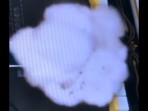 【1022戦目】Katsu.S　MJ ARCADE　R2500の軌跡【麻雀】