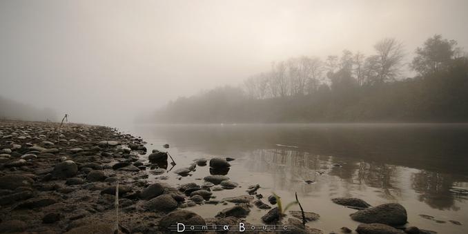 Près du bord du fleuve, des galets arrondis forment une plage. L'eau est presque miroir, la rive opposée constituée d'arbres décharnés, silhouette fantomatiques dans le brouillard. Deux cygnes, tels de petites taches blanches reposent sur le voile de l'eau.