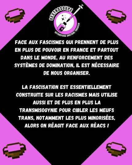 L'image reprend les infos du pouet.