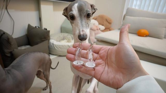 【初出店】イタグレフェスタでついにGREN.s登場！新作アイテム紹介します！！