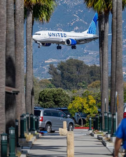 Boeing 737 MAX 8 in United Airlines colors landing as viewed down a sidewalk lined with palm trees.