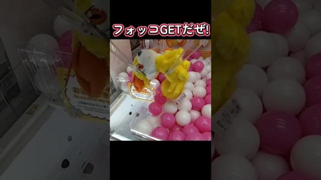 #クレーンゲーム #攻略 #確率無視 #ポケモン #フォッコ  クレーンゲーム 攻略ポケモン  TikTok