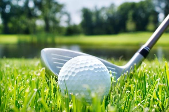 ‘Lucky’ Stolen Dodge Challenger Lands in Golf Course Pond