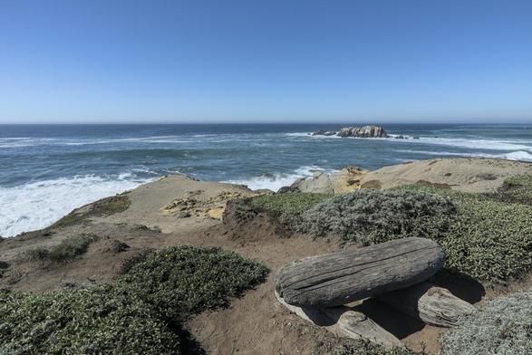 Driftwood is constructed into a bench in the lower right side. Above, the Pacific Ocean waves meet the shoreline.
