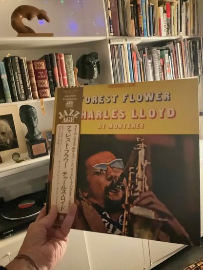 This photo showcases a rare Japanese pressing of a Charles Lloyd album, displayed in a record collector's library.

The Album: "Forest Flower" by Charles Lloyd - specifically a Japanese pressing on the Atlantic Jazz Age label. The cover features a golden-yellow background with typography displaying "FOREST FLOWER" and "CHARLES LLOYD" in red and cream lettering, with "AT MONTEREY" below. The main image shows Charles Lloyd wearing sunglasses and a cap, captured mid-performance playing his saxophone. The Japanese obi strip (the vertical text band along the spine) is intact, which is highly prized by collectors and indicates this is an authentic Japanese import pressing.

The Setting:

 ° Bookshelves filled with art books, literature, and reference materials
° Sculptural busts displayed on the shelves - dark,bronze or painted sculptures that add artistic gravitas to the space
° A turntable in the lower left corner, ready for listening
° Ambient lighting including a string of xmas lights strung along the bookshelf

Significance: Japanese pressings of jazz albums are legendary among collectors for their superior audio quality, meticulous pressing standards, and beautiful packaging. The "Forest Flower" album recorded at Monterey is one of Charles Lloyd's most celebrated recordings, making this a particularly valuable piece in the collection.

ALT by Claude (edited, with annotations)