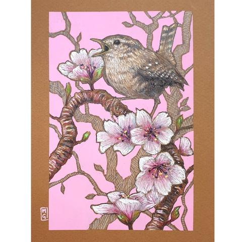 A small colour drawing of a little wren singing among the cherry blossom. The drawing shows the little brown bird sitting on a branch. The drawing has a bright pink background.
The Wren is a tiny brown bird, it's almost round in shape with a fine bill, quite long legs and toes, very short round wings and a short, narrow tail, which is sometimes stuck up vertically.
An original art work, please note that the frame is not included.
Colour pencil and mixed media on acid free toned artist paper
5 by 7 inches (12.7 by 17.8 cm).