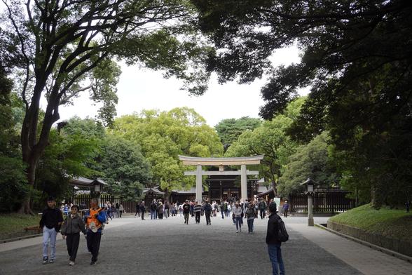 Letztes Torii vor dem Meiji-Schrein, gelegen in einem ausgedehnten Wald