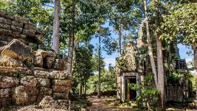 Photo shows an old temple and hospital with well-kept reliefs and art on the wall and around the gate. It has a small entry gate and a larger tower built in the flower bulb like architecture typical for the Bayon style. In the background a perimeter wall is visible. Large trees grow around it and one large is close by the gate. The trees give shadow and an impression of cool to the temple building. In the background there is forest, and a nearly cloudless blue sky is forecasting a hot day. Cambodia is as safe, comfortable and kind as ever. Angkor and Siem Reap welcomes visitors. Enjoy your visit to the Kingdom of Wonder.
