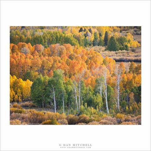 Sierra Nevada autumn colors