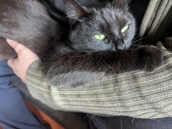 Ici on voit bien ses yeux