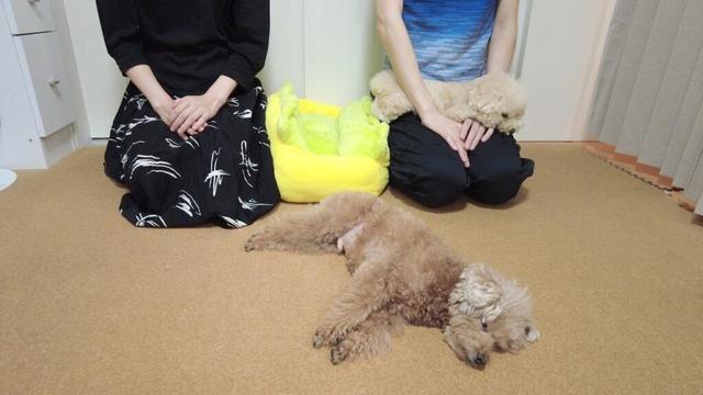 【ご報告】皆様に大切なお知らせがあります