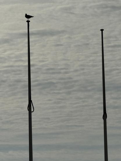Zwei hohe Masten heben sich schwarz vor einem Wolkenhimmel ab. Auf dem linken sitzt ein Vogel