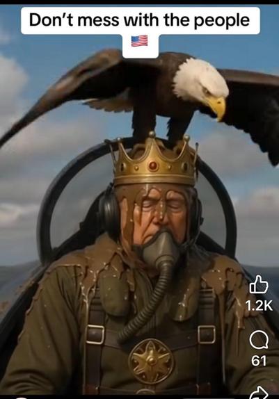 Meme of Trump in a jet fighter, oxygen mask hanging off, crown on his head. An American Eagle crapping on Trump’s head.
“DON’T MESS WITH THE AMERICAN PEOPLE”