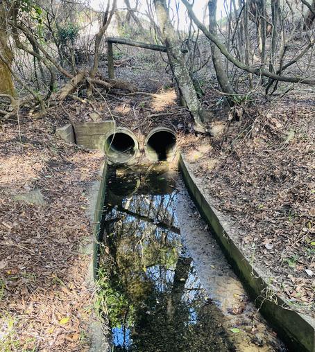 Cement pipes that flush the pollution of the suburbs out to sea. They could be anywhere on a NSW beach