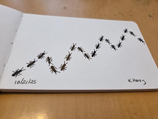 Hand drawn generative/procedural art in ink on an open page of my sketchbook. The abstract pattern looks like ants along a sawtooth path.