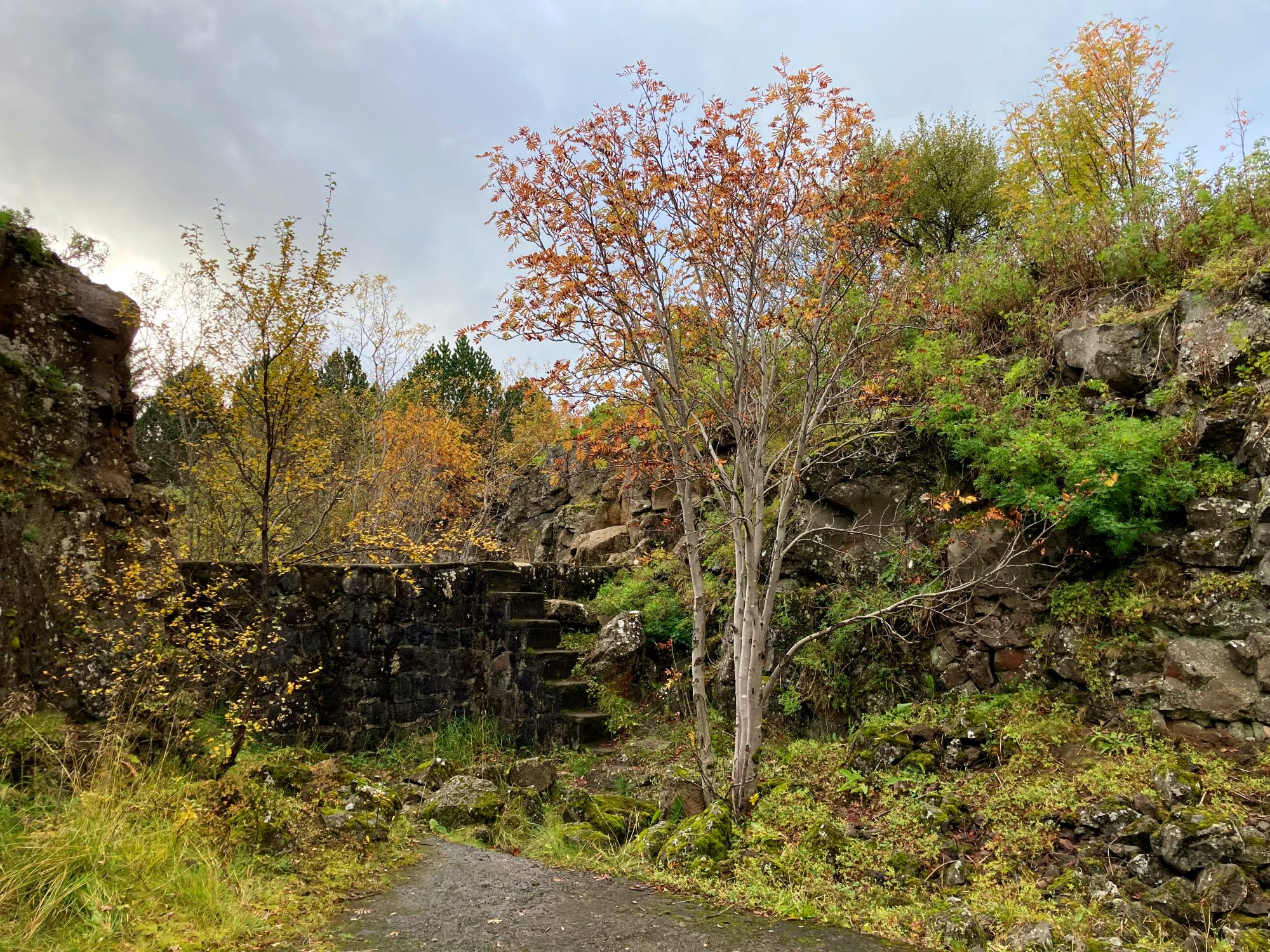 A stone wall and steps constructed by the British during World War II, surrounded by trees in autumn.