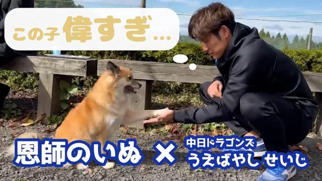 「この子、偉すぎ！」中日ドラゴンズ上林誠知選手が恩師の愛犬と触れ合う