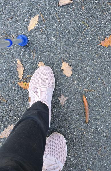 Ein Paar hellrosa Sportschuhe steht auf einem Asphaltweg, umgeben von trockenen Herbstblättern. Links ist die Spitze einer blauen Gehhilfe zu sehen, rechts kriecht eine braune Nacktschnecke über den Boden.