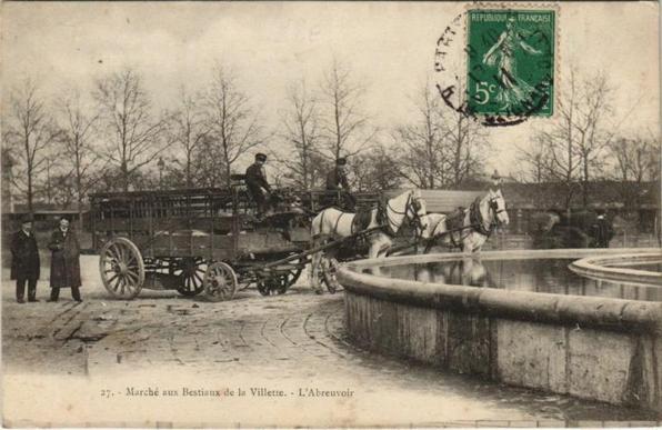 Marché aux Bestiaux de la Villette - L'Abreuvoir à #Paris19 (#Paris)  #CartePostaleAncienne 👉 https://cartorum.fr/carte-postale/900795/paris-19e-marche-aux-bestiaux-de-la-villette-labreuvoir