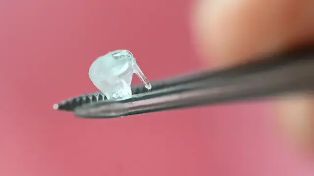 A tiny, transparent 3D-printed heart valve is held between the tips of a pair of tweezers against a pink background. Picture: Uli Deck/dpa