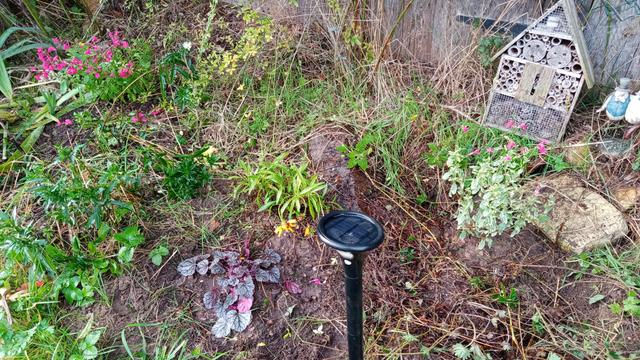 Un parterre de fleurs. On voit aussi une lumière à détection, un arbre à insectes et une déco d'un couple d'oiseaux