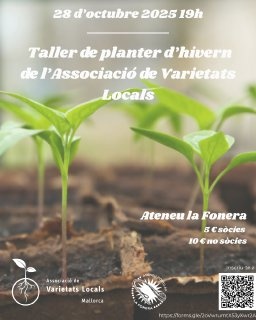 Taller planter d'hivern