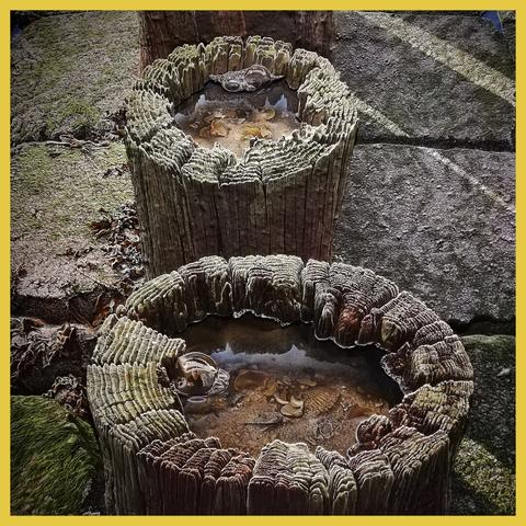 Two weathered pole heads. There is water in the pits of the heads. The artist painted himself in the front puddle, in the reflection of a water bubble