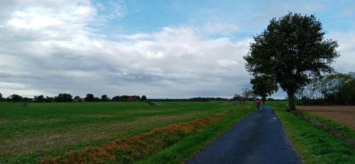 La route passe à côté d'un champ fraîchement semé. À droite, le cycliste au niveau de l'arbre