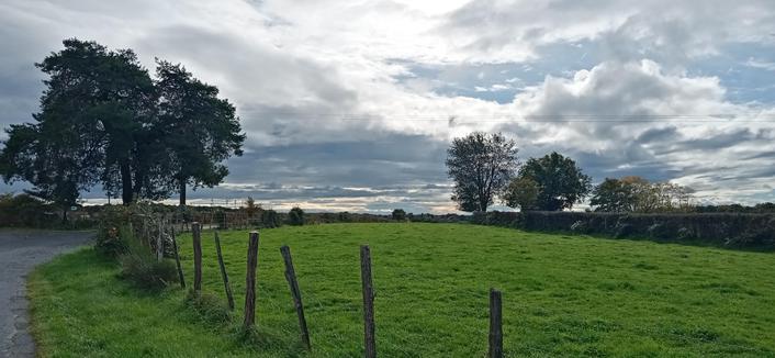 La route longe un pré clôturé
