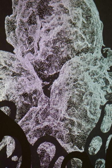 projection d'une forme 3D blanche en points