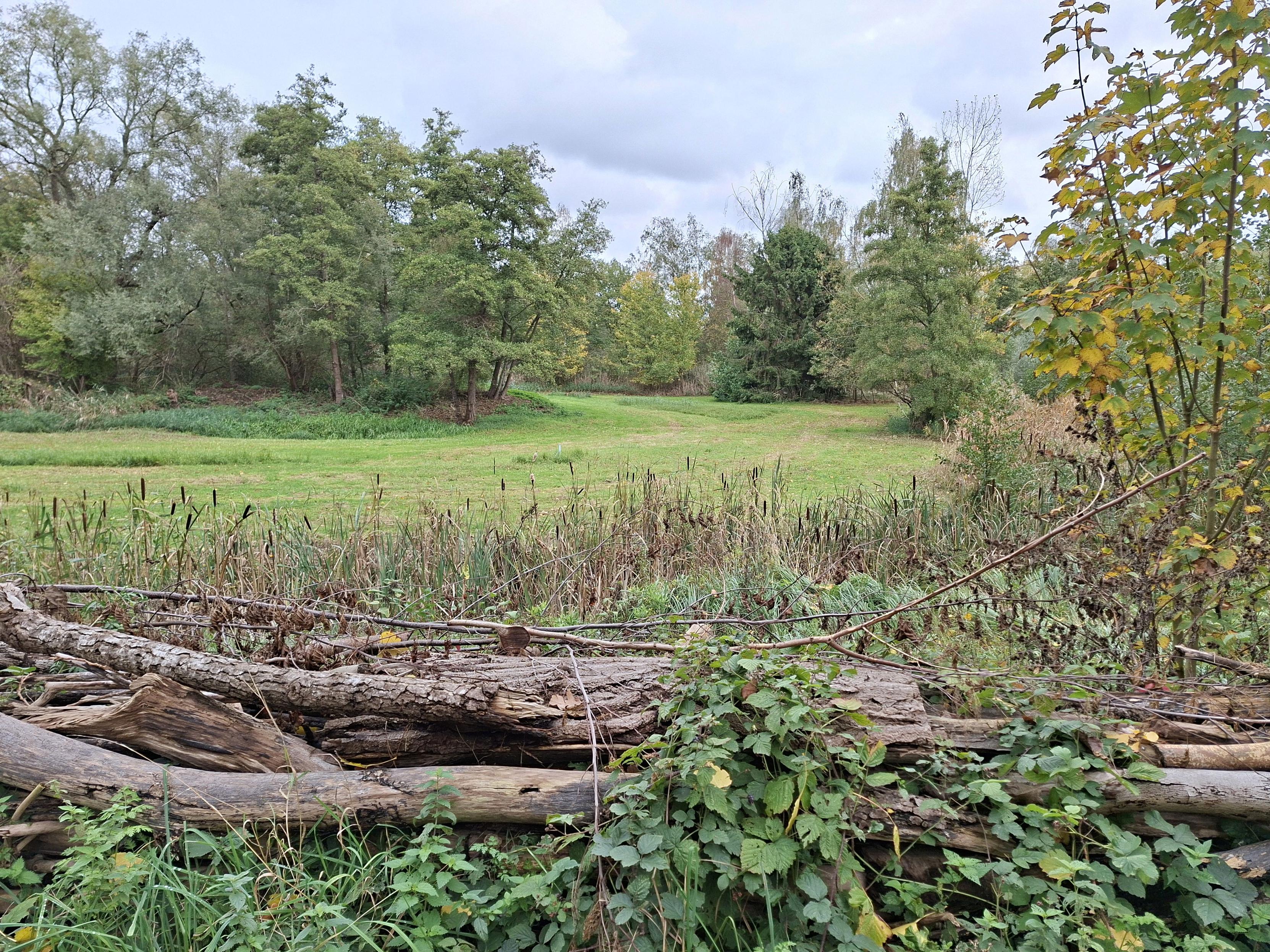 Hobokense Polders