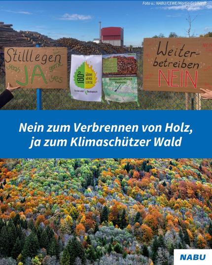 Der Titel des Bildes lautet "Nein zum Verbrennen von Holz, ja zum Klimaschützer Wald". Das Bild selbst ist in zwei verschiedene Bilder geteilt. Das obere Bild zeigt gestapelte Baumstämme und Pappschilder die mit den folgenden Aufschriften bemalt sind: "Stillegen ja" und "Weiterbetreiben nein". Das untere Bild zeigt einen bunten Wald von oben.