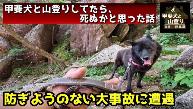 【総集編】甲斐犬と山登りしたら、大事故に遭遇した話【瑞牆山リベンジ】