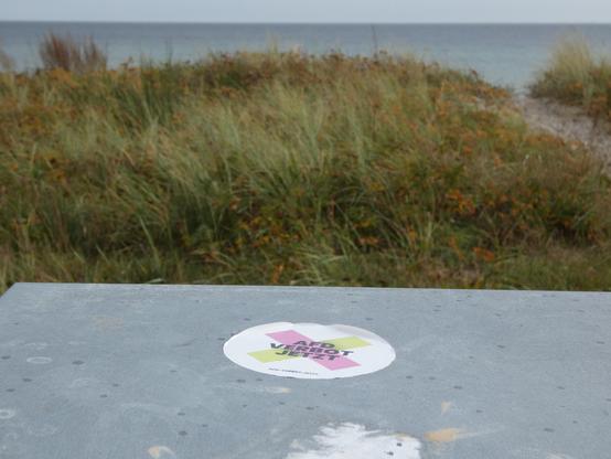 Auf einer Metalloberfläche klebt ein Sticker der Kampagne "AFD VERBOT JETZT". Im Hintergrund sieht man Dünengras und dahinter unscharf die Ostsee und der Himmel (Horizont).