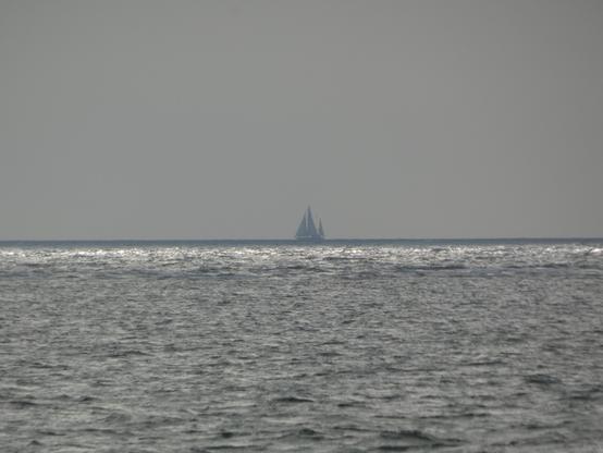 Ein Segelschiff fährt vorm Horizont auf der Ostsee. Die Sonne glitzert spiegelnd auf der See. Vom Schiff sieht man bloß die graue Silhouette.