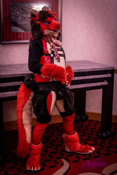 A red and white/tan dragon fursuiter with a latex bodysuit and harnesses and pouch shorts by a marble table in a red and white hotel room. They have blue eyes.