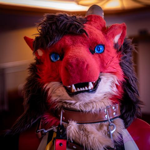 A red and white/tan dragon fursuiter with a latex bodysuit and a brown color, they are looking more head on at the photographer, with an open maw