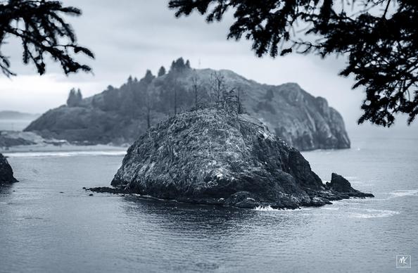 Black and white photo of a Northern California seascape, the view is framed at top by tree branches with a small rocky coastal island rising steeply from the water in the center of the frame and with a larger peninsular headland rising in the background.
