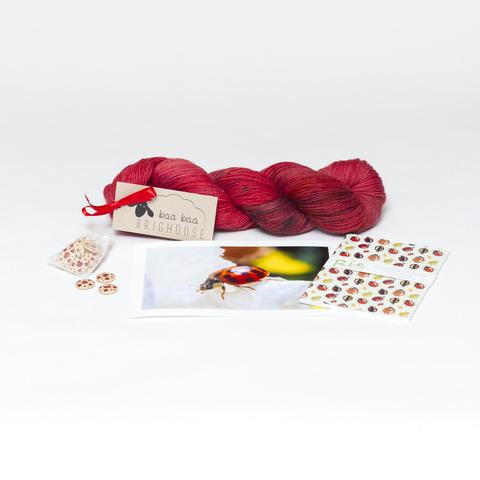 Picture shows a skein of yarn in red with black speckles. In front of the yarn, from left to right is some ladybird buttons, a photograph of a ladybird and a notebook covered in a ladybird print.