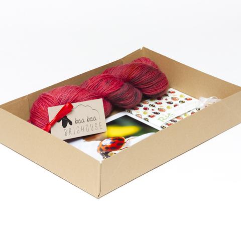 Picture shows an open A4 box containing a skein of red yarn with black speckles. A photograph of a ladybird can also be seen and a notebook printed with ladybirds.