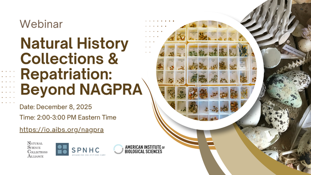 Natural History Collections and Repatriation: Beyond NAGPRA